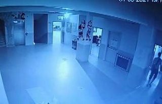 Okul fareleri kameraya yakalandı