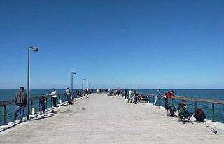 Ordu’da amatör balıkçılar iskeleye akın etti