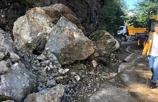 Ordu’da sağanak sonrası heyelan