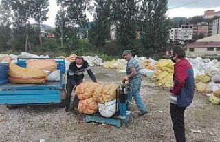 Ordu’da toptan elma alımları sürüyor