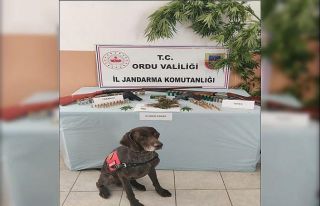 Ordu’da uyuşturucu operasyonu