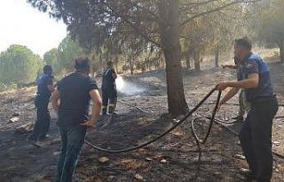 Ormanlık alanda çıkan yangın kısa sürede söndürüldü