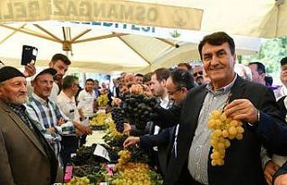 Osmangazi’de ‘üzüm’ vakti