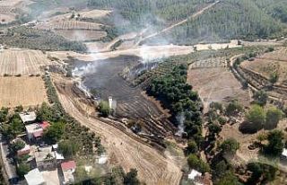 Osmaniye’de anız yangını ormanlık alana sıçradı