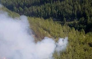 Osmaniye’deki orman yangını büyümeden söndürüldü