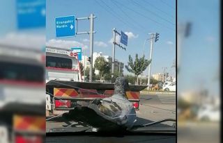 Otomobil sileceklerinde seyahat eden güvercin