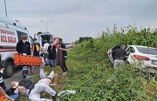 Otomobil yoldan çıktı: 2 yaralı