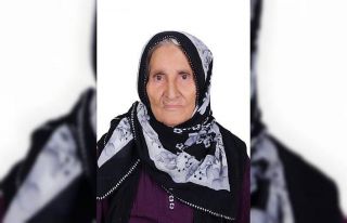 Otomobilin çarparak metrelerce fırlattığı yaşlı...