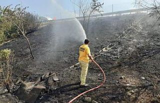 Otoyol kenarında çıkan örtü yangını büyümeden...
