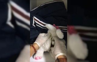 Oyuncak içerisinden uyuşturucu çıktı