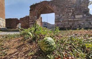 (Özel) 2 bin yıllık surların içinden çıktı,...