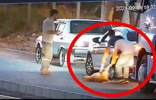 (ÖZEL) Aracıyla çarptığı köpeği ölüme böyle...