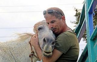 (ÖZEL) Atı çalınan eşinin üzüntüsüne dayanamayan...