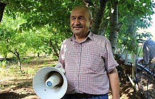 (Özel) Bahçesine domuz dadanan çiftçi çareyi...