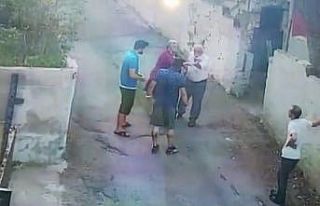 (Özel) Beykoz’da sokak köpeğini besleyen hayvansevere...