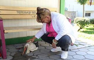 (ÖZEL) Bu kış Eskişehir’in misafiri olacak