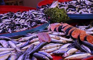 (ÖZEL) Bu yıl palamut yok denilecek kadar az