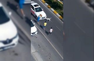 (Özel) Çocukların tehlikeli bahşiş oyunu kamerada