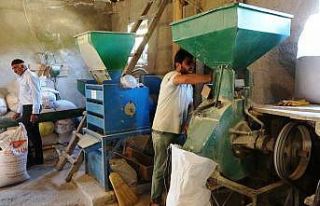 (Özel haber) Van’da üniversite mezunu genç atadan...