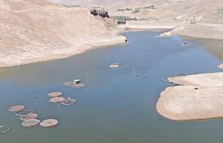 (Özel) Kuraklık göl ve barajların su seviyesini...