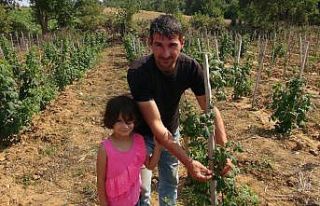(ÖZEL) Merakla başladığı ahududu ve böğürtlen...