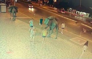 (Özel) Motosikletin çarpıp metrelerce sürüklediği...