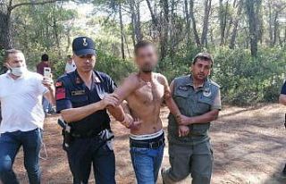 (ÖZEL) Ormanı yakarken suçüstü yakalandı