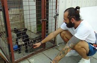 (ÖZEL) Özel kafesteki cins köpek yavrularını...