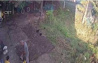 (Özel) Pendik’te villanın bahçesinden silah çıktı