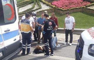 (Özel) TEM’de yolun karşısına geçen kadına...