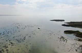 (Özel) Uluabat Gölü can çekişiyor