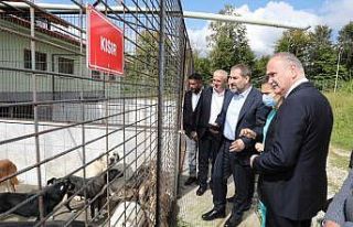 Özlü’nün projelerine tam puan