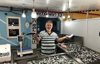 Palamut Rizeli balıkçıların yüzünü güldürdü