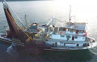 Palamuta niyet hamsiye kısmet