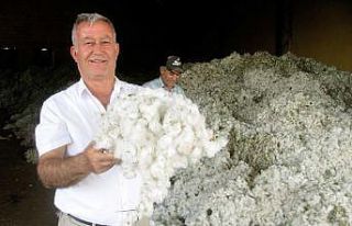 Pamuk fiyatı üreticilerin yüzünü güldürdü