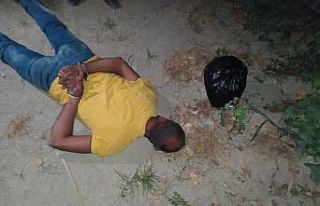 Pamuk tarlasında uyuşturucuyla yakalanan şüpheli...