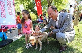 Pamukkale’de hayvan dostları festivalde buluşuyor