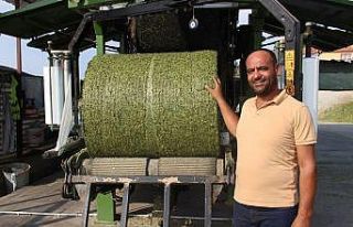 Pandemideki yem açığına karşı silaj paketleme...