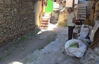 Patlayan su borusu nedeniyle evlerini su bastı