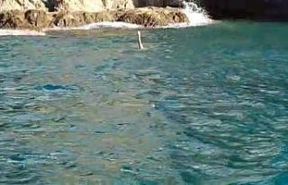 Patlayıcıyla balık avlarken yakalandı, 10 bin...