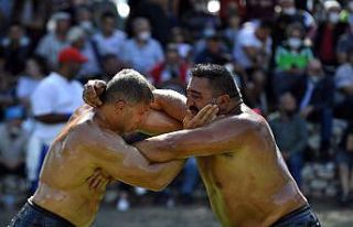 Pehlivanlar incir için er meydanına çıktı