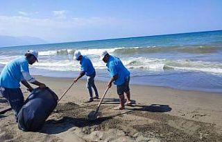 Petrol atıklarının vurduğu Samandağ sahili temizlendi