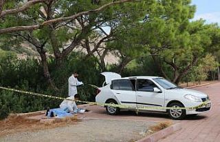 Piknik alanında şüpheli ölüm