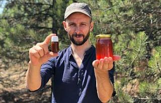 Propolisle tanışınca şehir hayatını bırakıp...