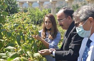Rektör Beydemir, miniklerle piknik yaptı