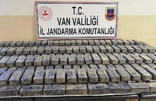 ‘Resmi araç’ görünümü verilen panelvanda...