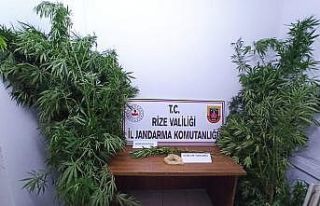 Rize’de iş yerine uyuşturucu baskını