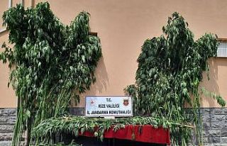 Rize’de jandarma uyuşturucu ve sahte içki imalatçılarına...