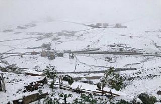 Rize’nin yüksek kesimlerine kar düştü