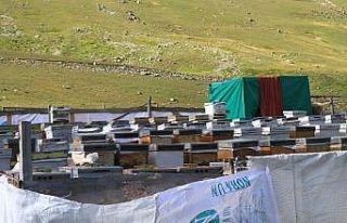 Sahte Anzer Balı’na dikkat